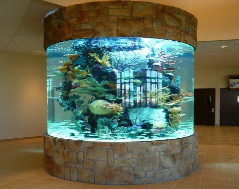 coldwater-aquarium-image